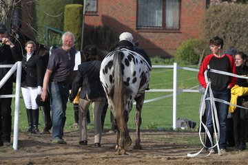 Bild 1291 - WBO-Turnier am 9.4.11